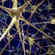 Image for article titled Here's how Obama's brain mapping project will actually work